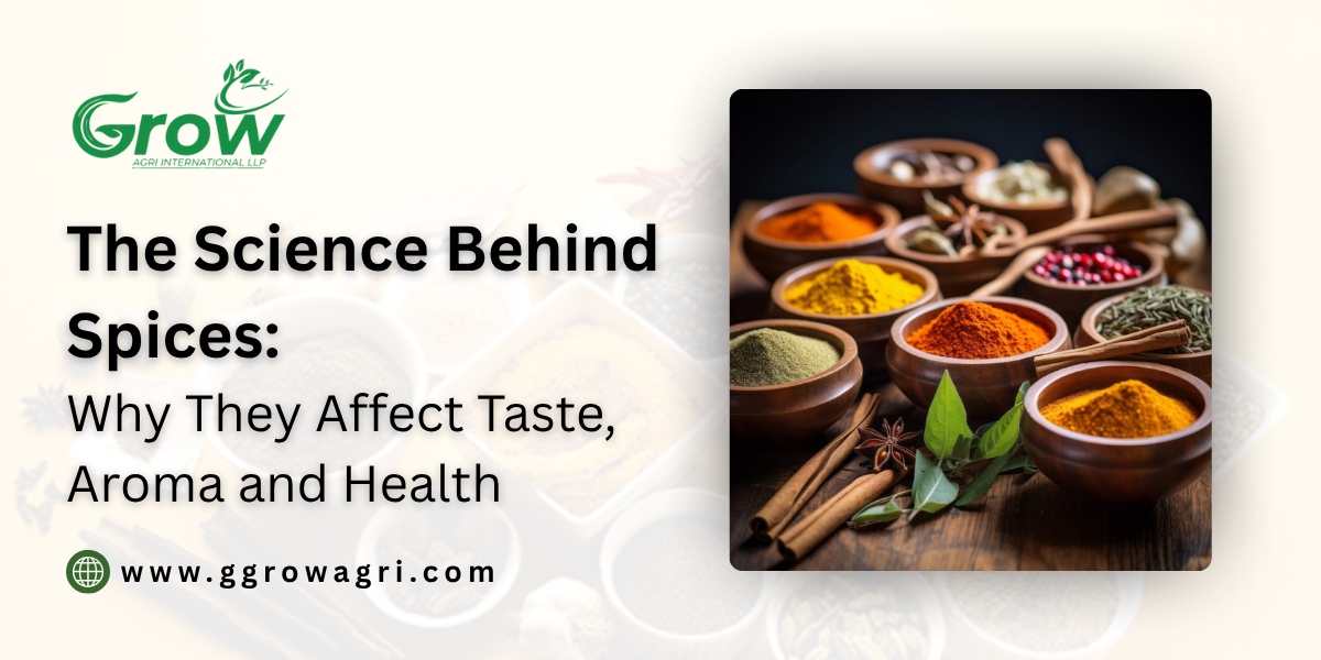 The-Science-Behind-Spices-Why-They-Affect-Taste-Aroma-and-Health.png
